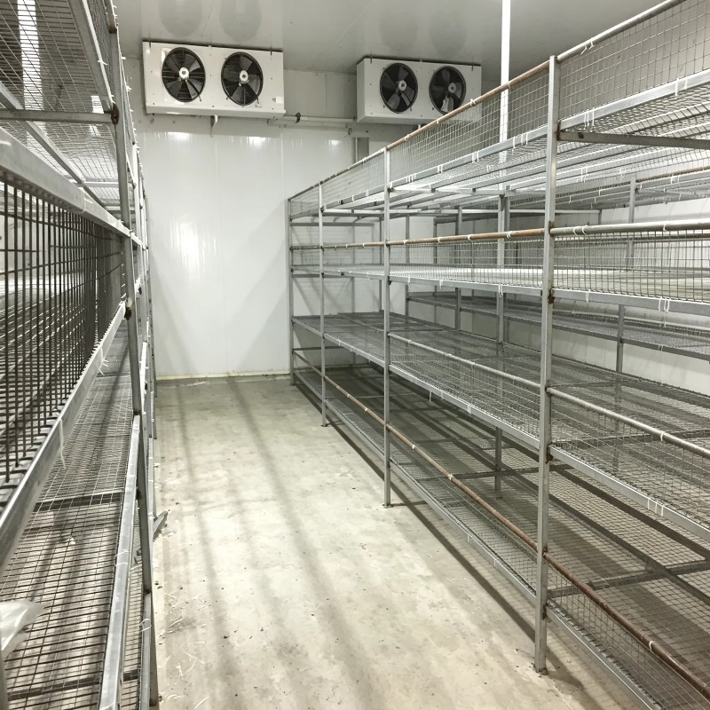 Hydroponic Container Farm with - Urban Farming Indoor review and price