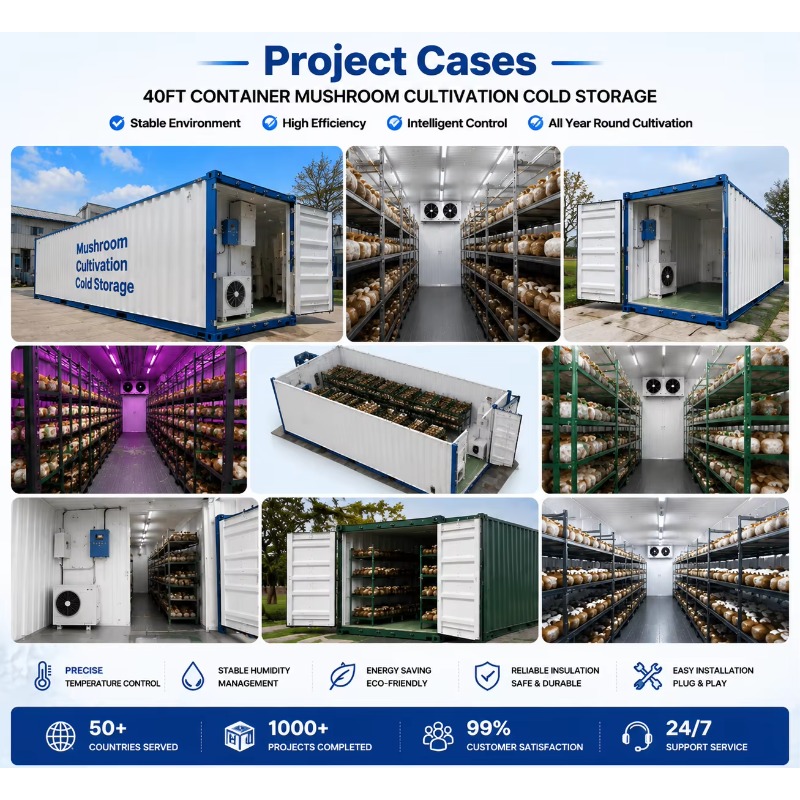 Hydroponic Container Farm with - Urban Farming Indoor review and price